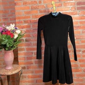 NWT Velvet Skater dress American Apparel deadstock